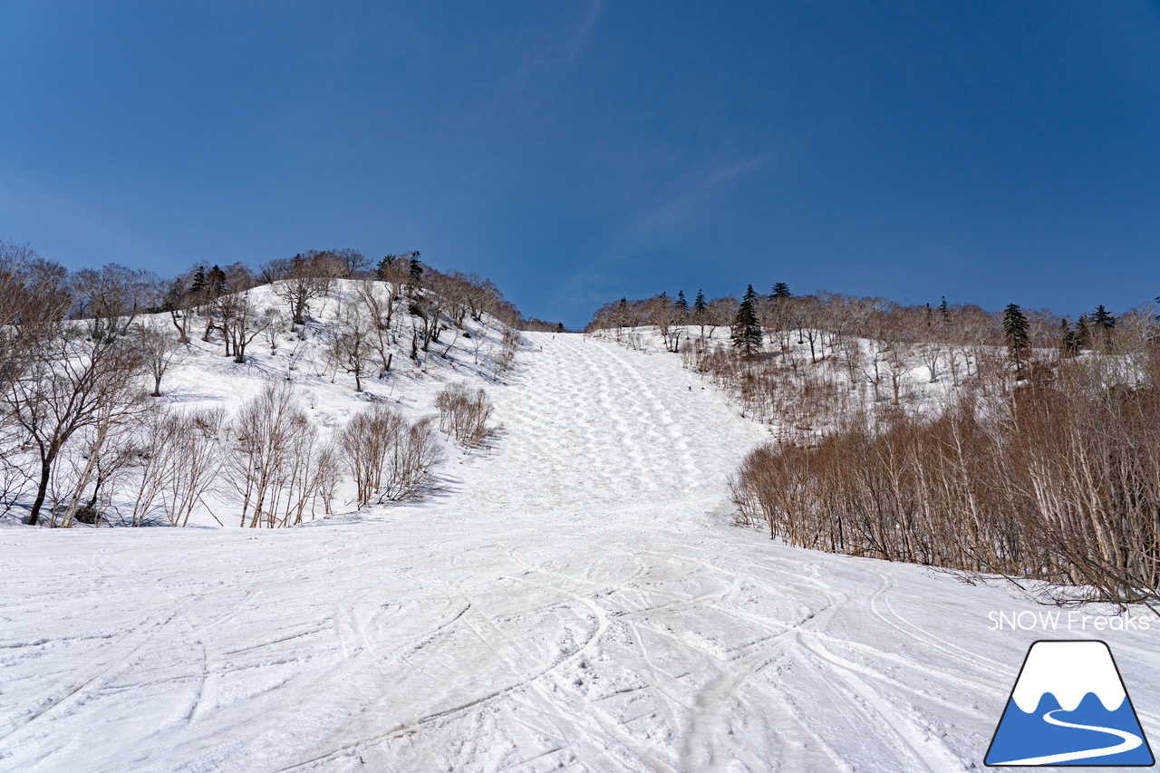 札幌国際スキー場｜ゴールデンウイーク初日も全コース滑走可能OK！！真っ白な雪と澄んだ青空 ＝ 絶好の春スキー＆スノーボード日和♪そして、日本海の彼方に、なんと利尻富士が見えた？！